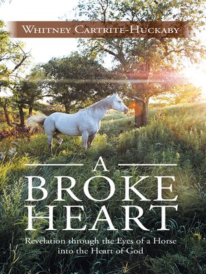 cover image of A Broke Heart